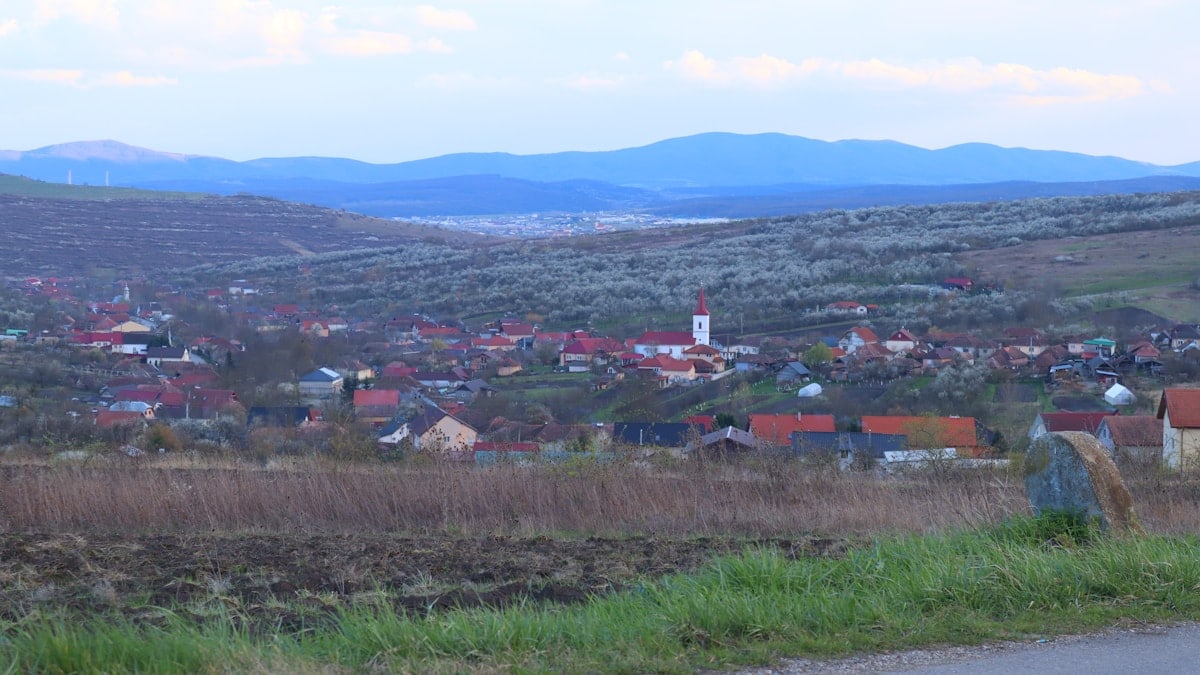 Guruslau 2024, Romania